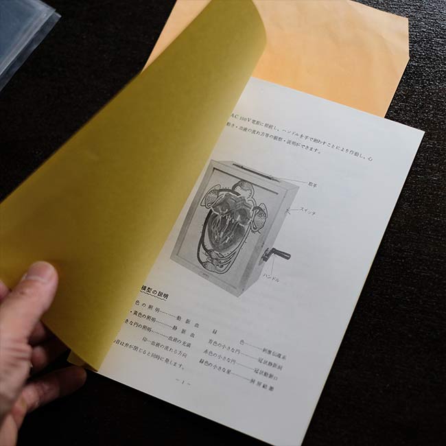 心電図付き心臓模型