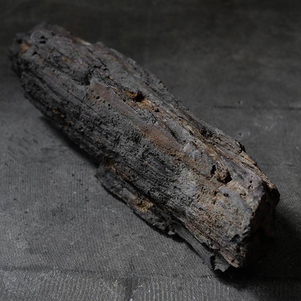 Petrified wood (petrified wood)
