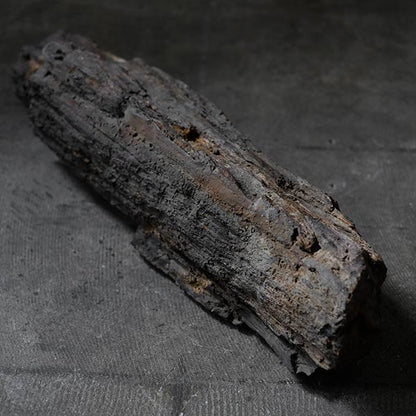 Petrified wood (petrified wood)