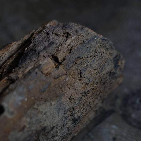 Petrified wood (petrified wood)