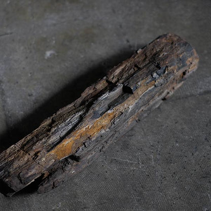Petrified wood (petrified wood)