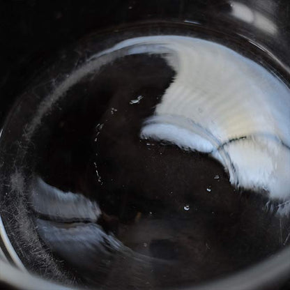 Round glass aquarium φ21.5cm