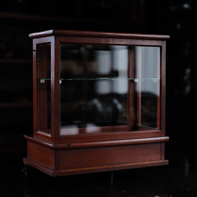 Glass case for scales