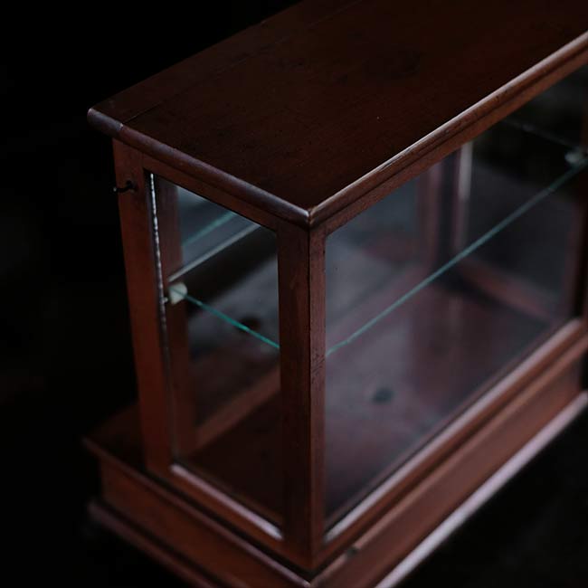 Glass case for scales