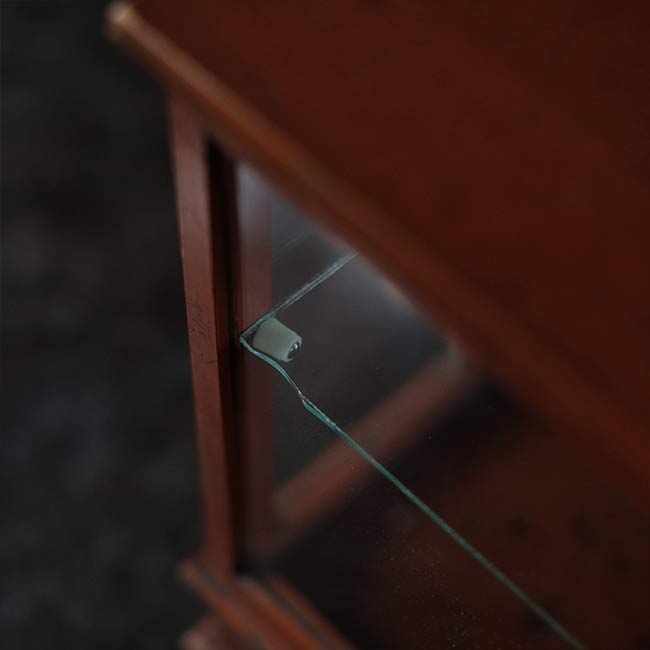 Glass case for scales