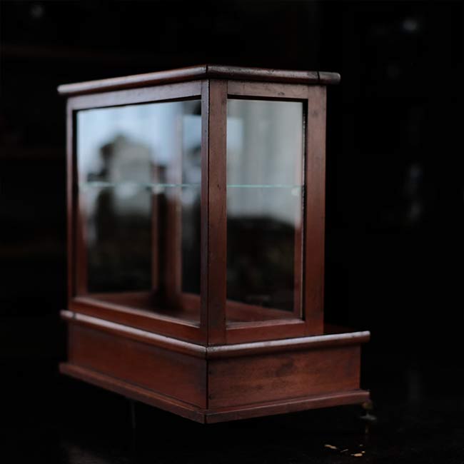 Glass case for scales