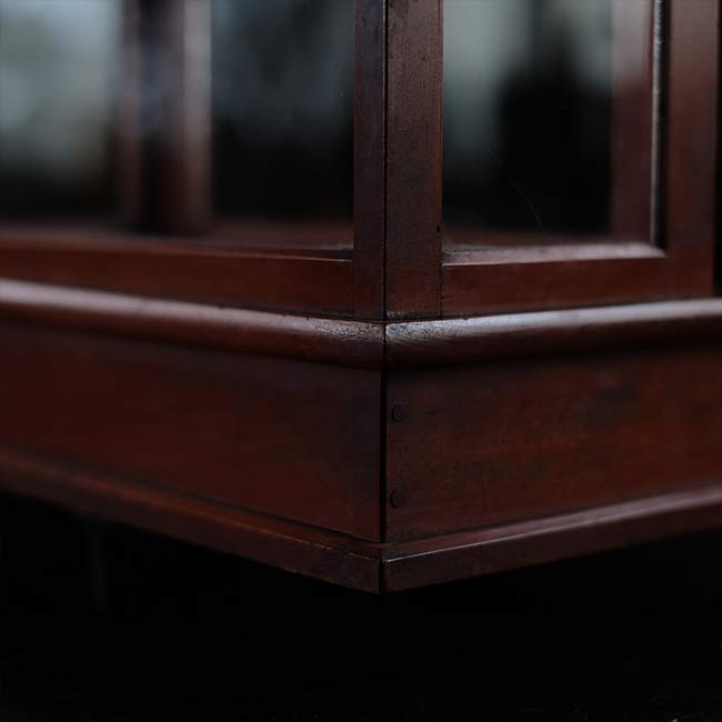 Glass case for scales