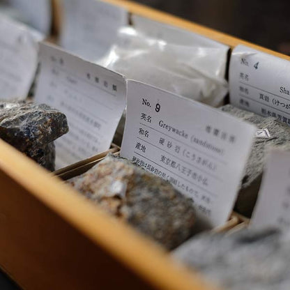 堆積岩標本