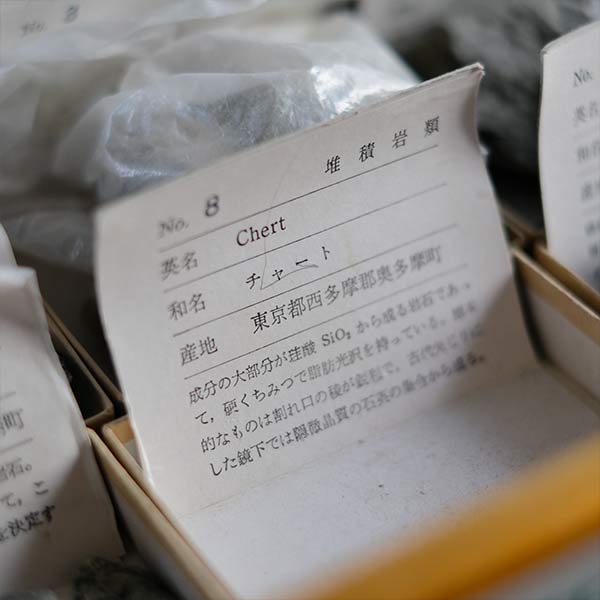 堆積岩標本