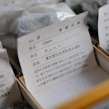 堆積岩標本