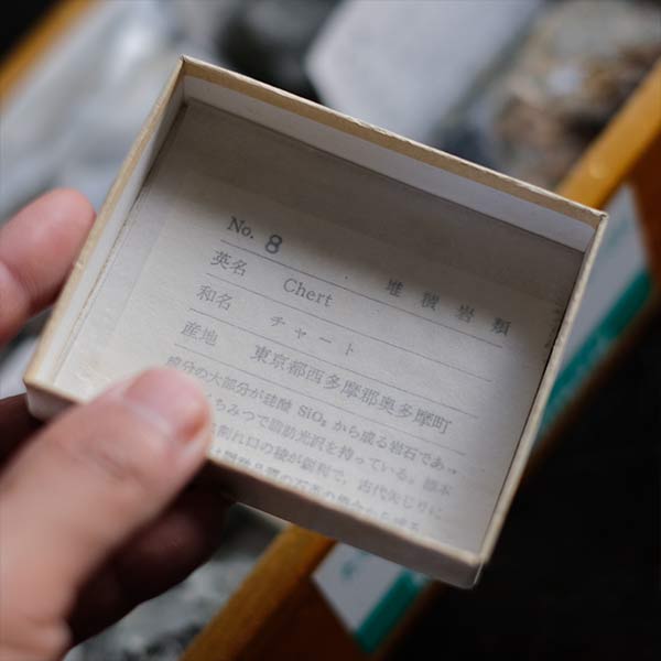 堆積岩標本