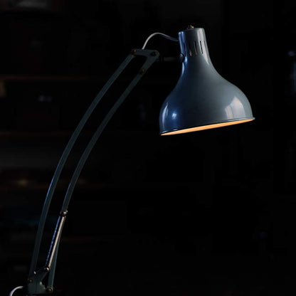 Single Arm Desk Lamp