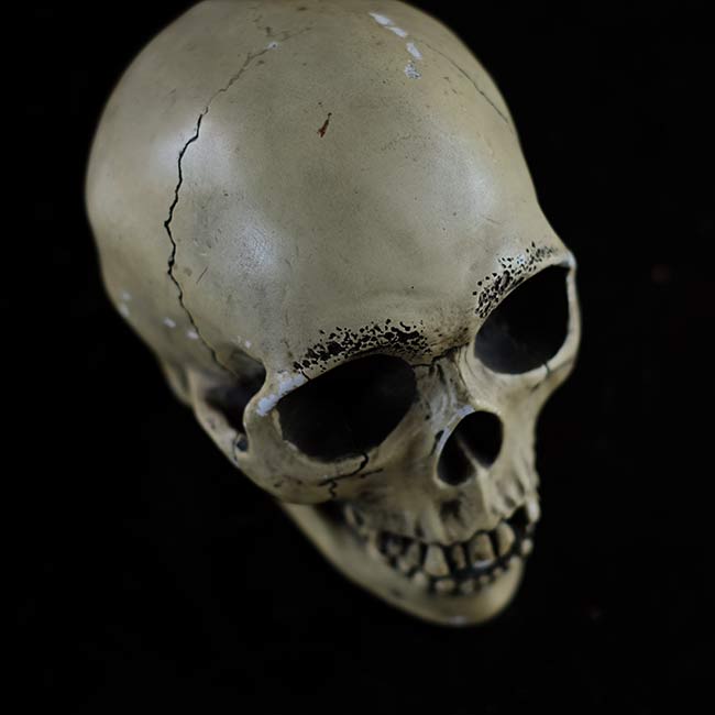 RANDOTTI skull object