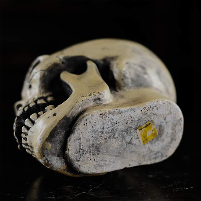 RANDOTTI skull object