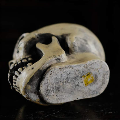 RANDOTTI skull object