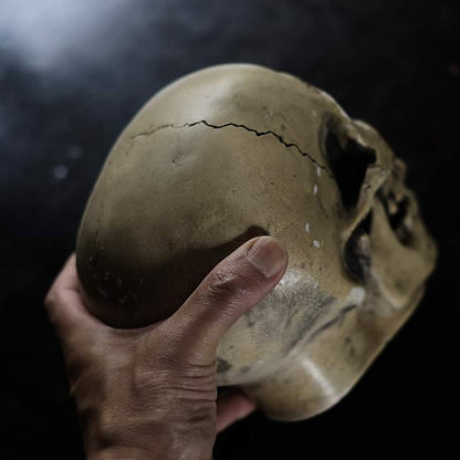 RANDOTTI skull object