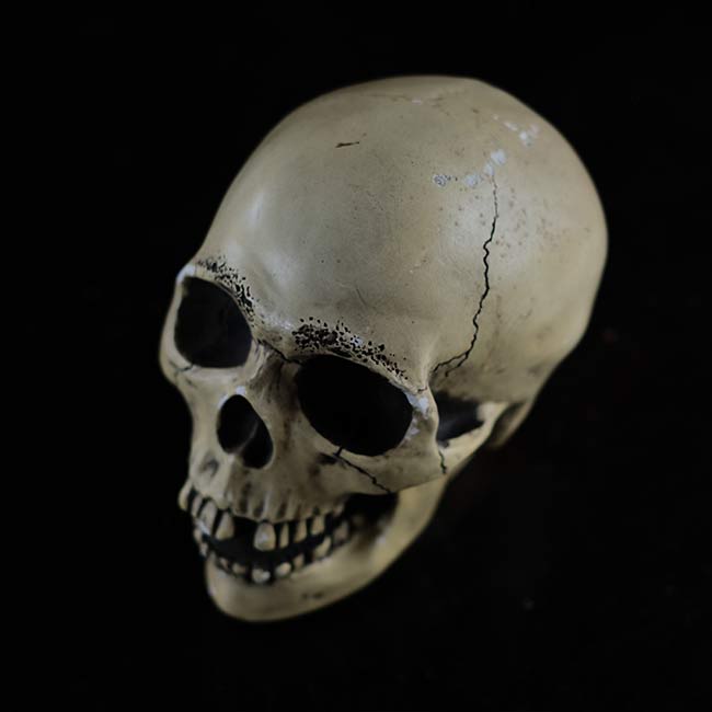 RANDOTTI skull object