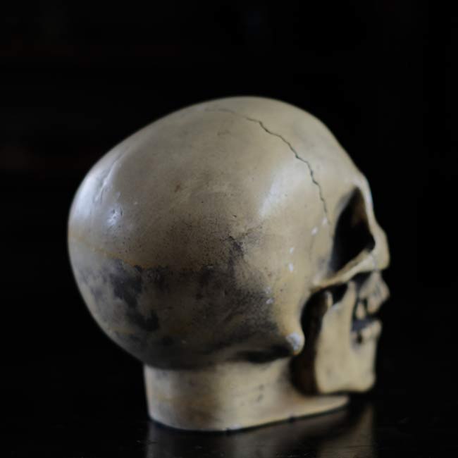 RANDOTTI skull object