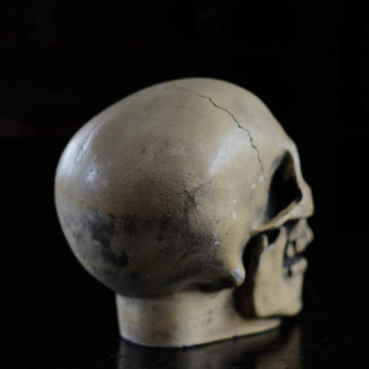 RANDOTTI skull object