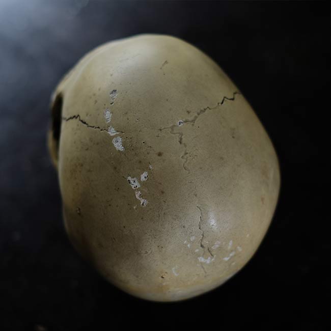 RANDOTTI skull object