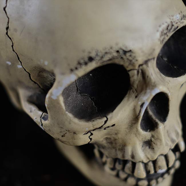 RANDOTTI skull object
