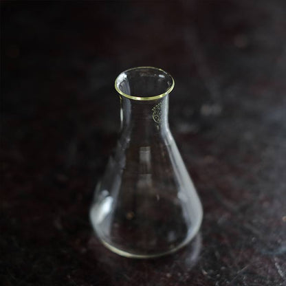 Old Erlenmeyer flask