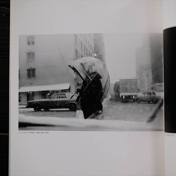 The Brilliant Moment: The Charm of Snapshots