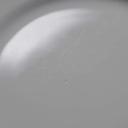 曽根製陶所 リム皿 φ25cm