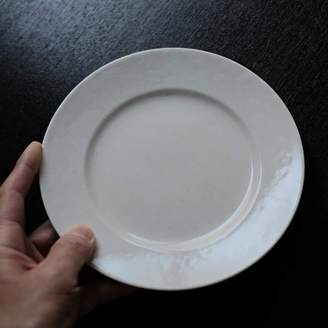 S.P.M.C. IRONSTONE 中皿 φ18cm