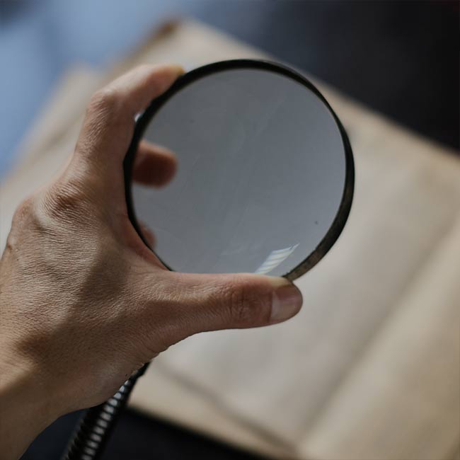 Gooseneck stand magnifier