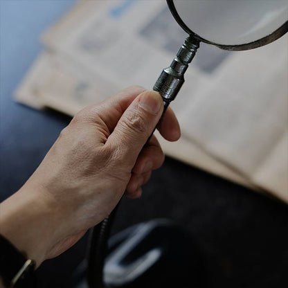 Gooseneck stand magnifier