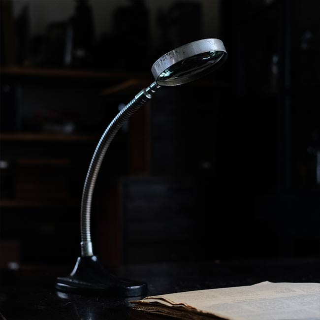 Gooseneck stand magnifier