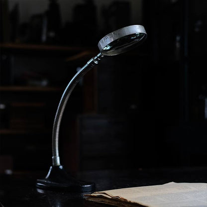 Gooseneck stand magnifier