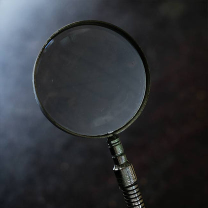 Gooseneck stand magnifier