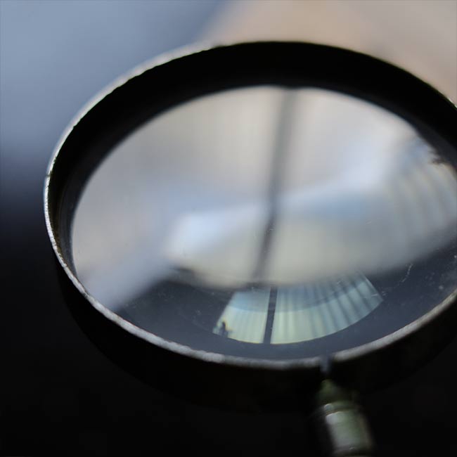 Gooseneck stand magnifier