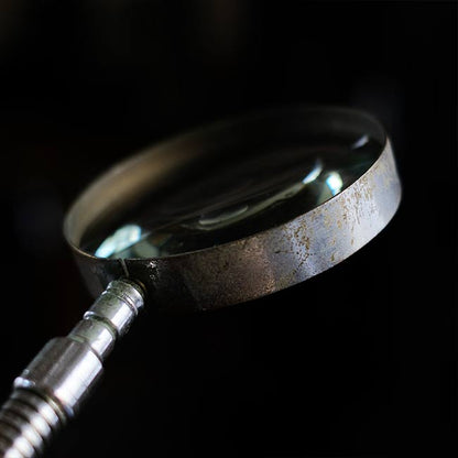 Gooseneck stand magnifier