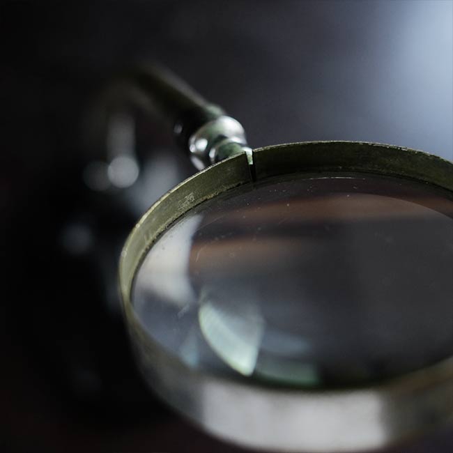 Gooseneck stand magnifier