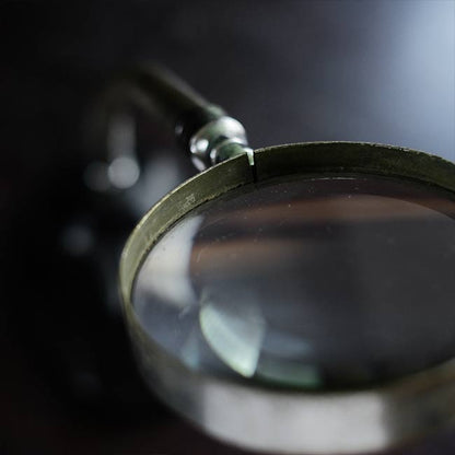 Gooseneck stand magnifier