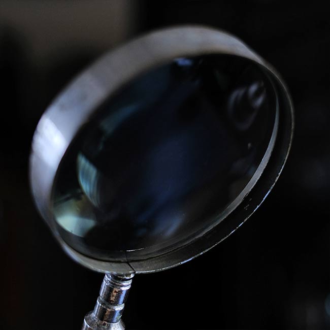 Gooseneck stand magnifier