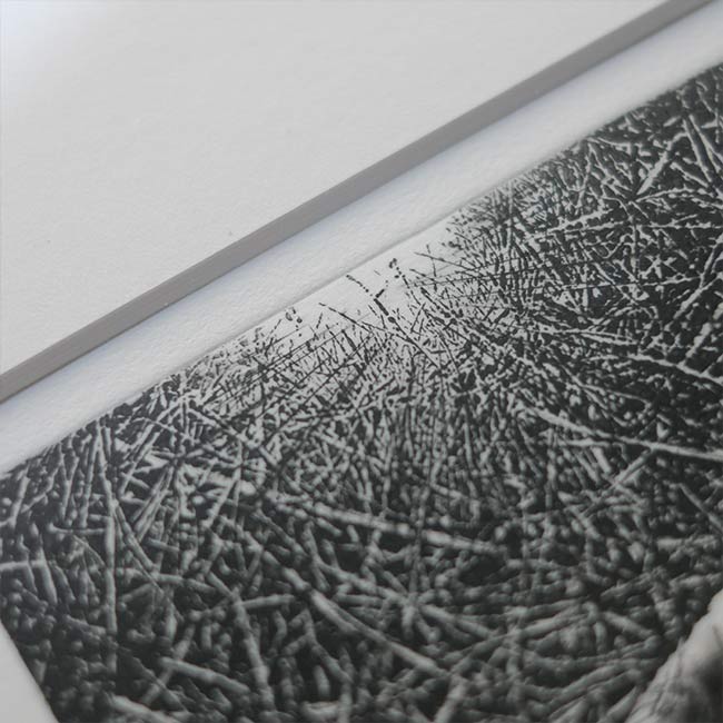 銅版画「転位 '93-地(種子)」中林忠良