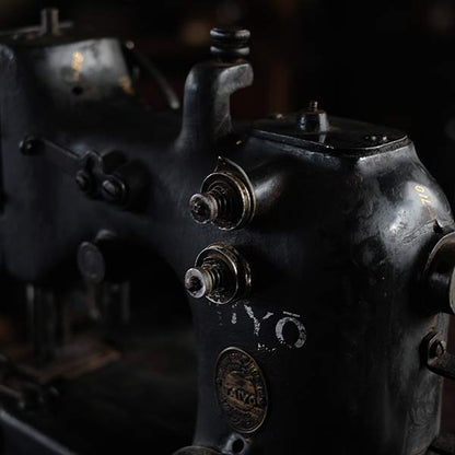 TAIYO Sewing Machine