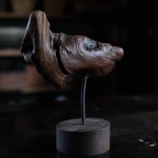 Driftwood Object