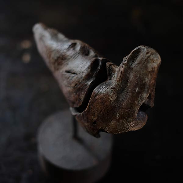 Driftwood Object