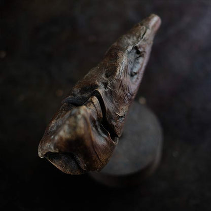 Driftwood Object
