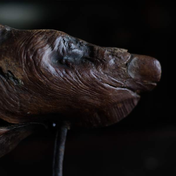 Driftwood Object