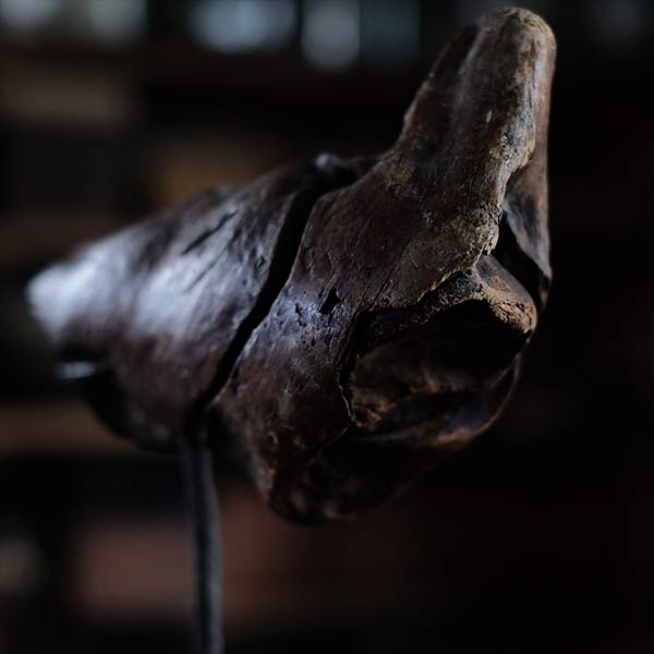 Driftwood Object