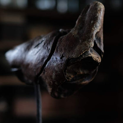 Driftwood Object
