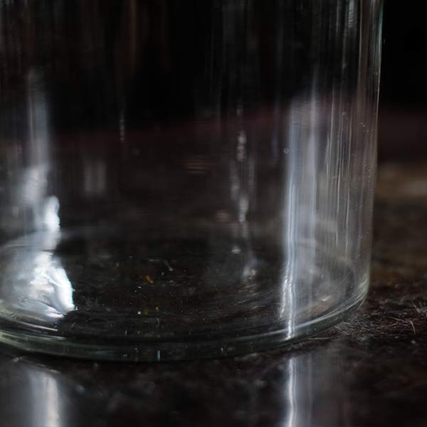 Long, thin plum wine bottle