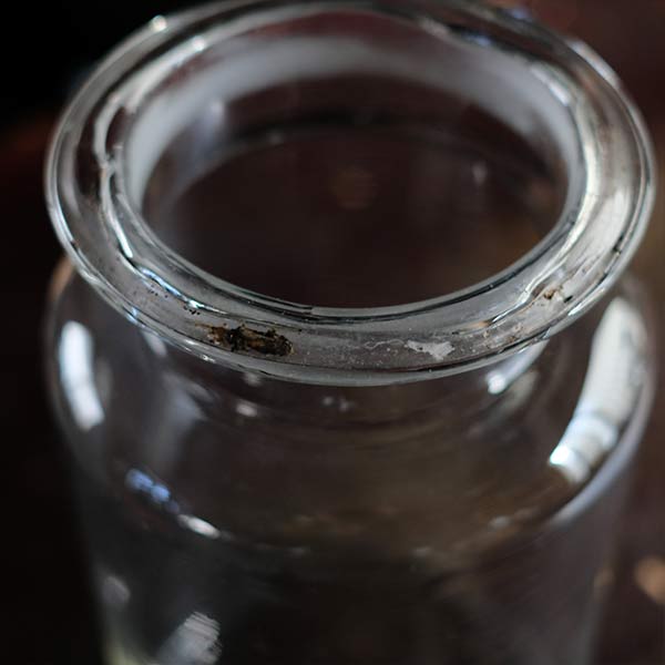 Long, thin plum wine bottle
