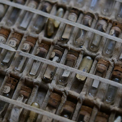 A set of small jars containing mechanical watch parts